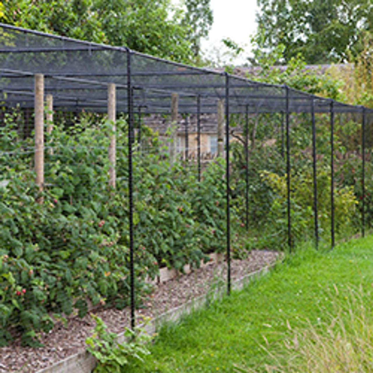 Fruit Cages & Garden Frames